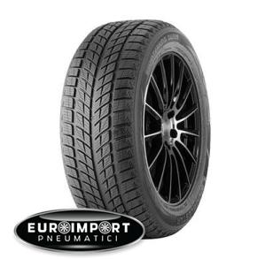 Double star Winterking dw09 255/55 R20 107 H  TL